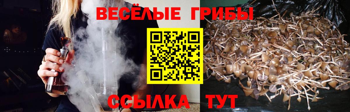 Псилоцибиновые грибы мицелий Знаменск
